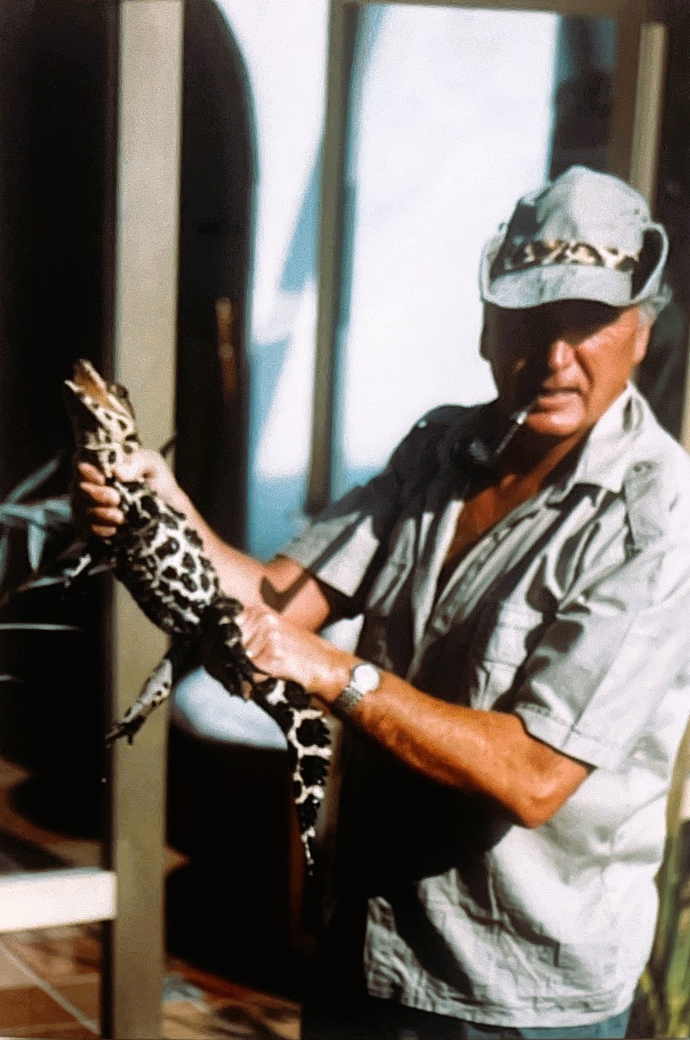 krokodil-1-stalder-ag-engelburg