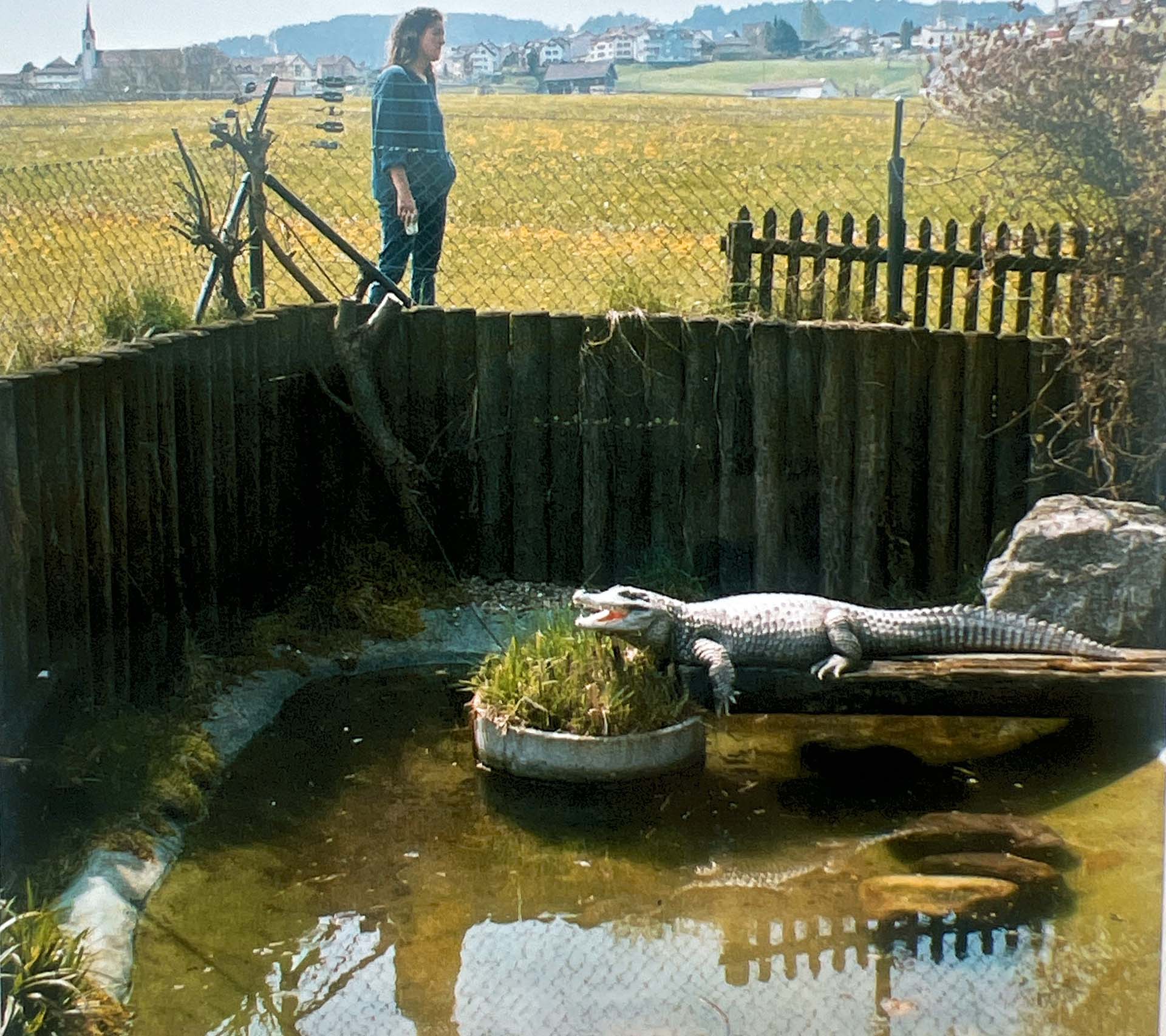 krokodil-2-stalder-ag-engelburg